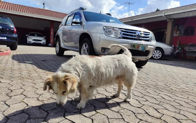 imagem-https://www.socarrao.com.br/sc-vehicle-images-prod/1030170/1787752028407-8026838_12_B_84ad1453d4.jpeg