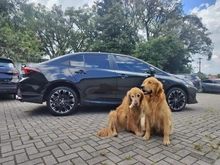 imagem de GR-Sport 2.0 Flex 16V Aut.