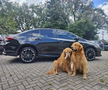 Toyota Corolla 2022 Preto — foto 1 de 3