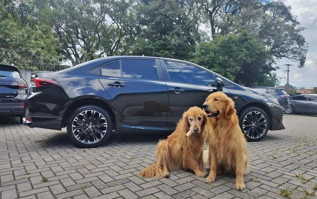 imagem-https://www.socarrao.com.br/sc-vehicle-images-prod/2262717/1782168208360-8211676_1_B_ec3ef7ceeb.jpeg