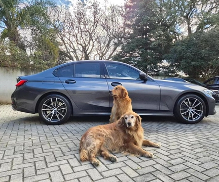 Bmw 320i 2021 Cinza — foto 1 de 3