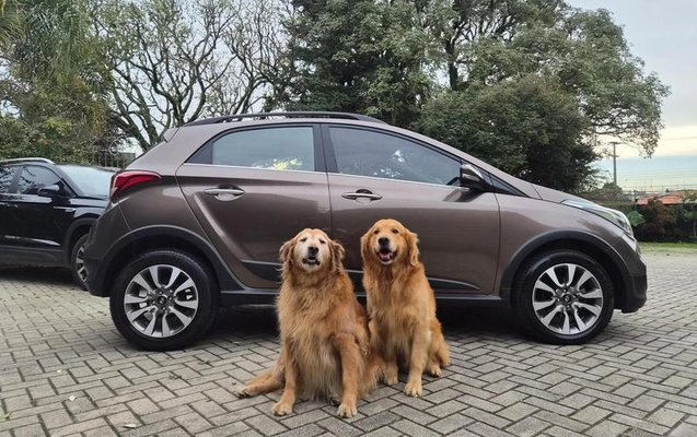 imagem-https://www.socarrao.com.br/sc-vehicle-images-prod/2307521/1787249719746-8214987_2_B_2334ce4721.jpeg