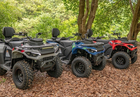 Agrale DAKAR 30.0 190cc 2026 Cinza — foto 1 de 3