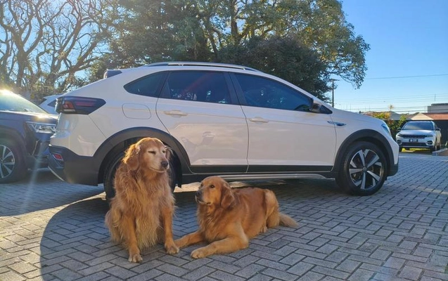 imagem-https://www.socarrao.com.br/sc-vehicle-images-prod/2519621/1783537443098-8261156_0_B_8a843c3cde.jpeg