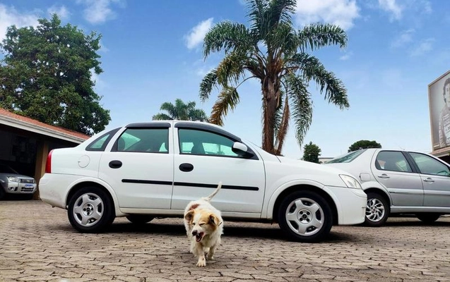 imagem-https://www.socarrao.com.br/sc-vehicle-images-prod/2689370/1788989140620-8033791_0_B_a49e9eff90.jpeg