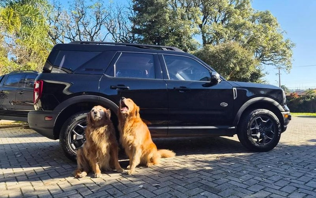 imagem-https://www.socarrao.com.br/sc-vehicle-images-prod/2689778/1784212332610-8284879_0_B_a2d300160b.jpeg