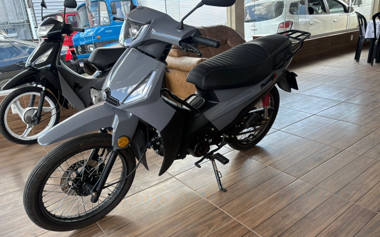 SHINERAY XY 50-Q PHOENIX S 2025 Cinza — foto 1 de 3