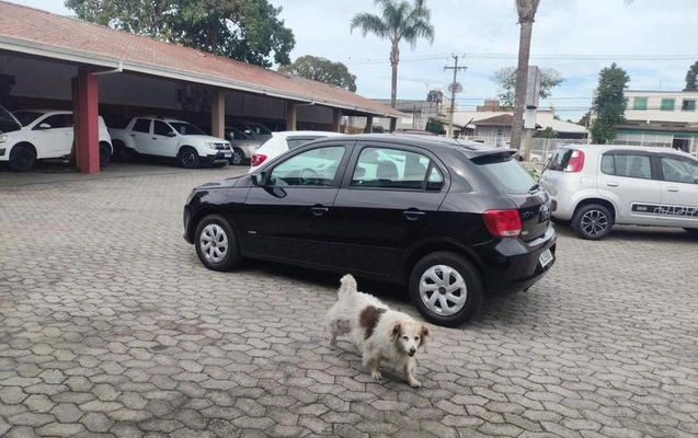 imagem-https://www.socarrao.com.br/sc-vehicle-images-prod/2779178/1787689593875-8300219_10_B_e0216a7ef3.jpeg