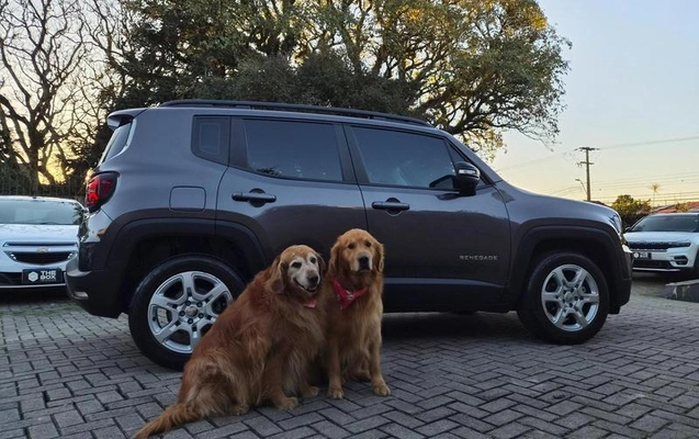 imagem-https://www.socarrao.com.br/sc-vehicle-images-prod/2898997/1788963417373-8323964_0_B_75c125b3ee.jpeg