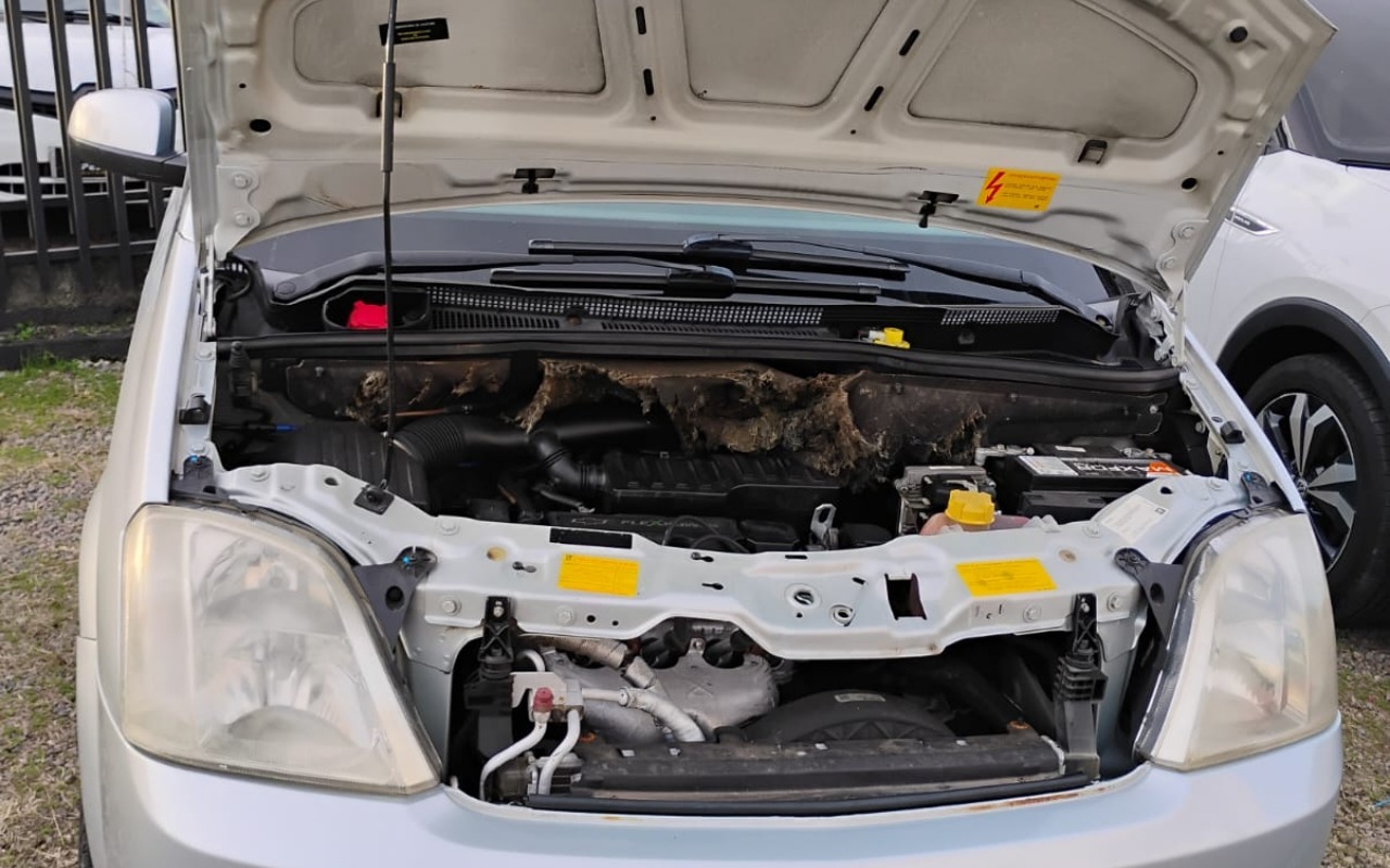 imagem-https://www.socarrao.com.br/sc-vehicle-images-prod/2991790/1785611101529-V2hhdHNBcHAgSW1hZ2UgMjAyNi0wNi0xOCBhdCAxNi40OS4xMy5qcGVn.jpeg