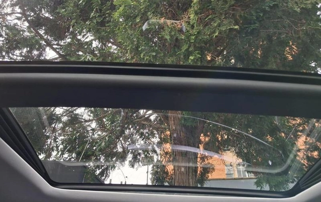 imagem-https://www.socarrao.com.br/sc-vehicle-images-prod/3062392/1786035655465-8350633_17_B_f5fc5decb9.jpeg