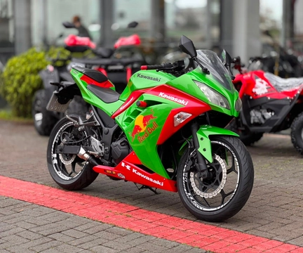 Kawasaki NINJA 300 2015 Verde — foto 1 de 3