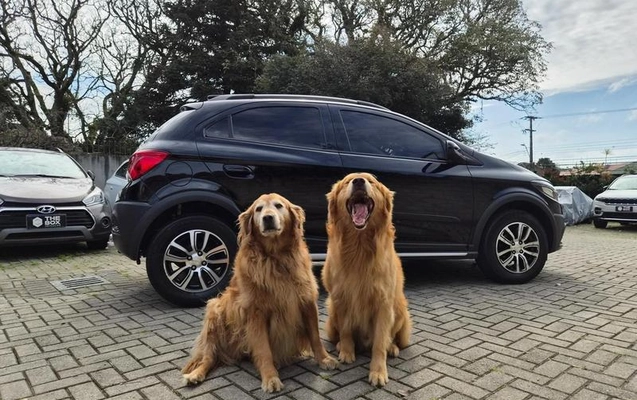 imagem-https://www.socarrao.com.br/sc-vehicle-images-prod/3153542/1788963883248-8288743_4_B_672a037b5c.jpeg