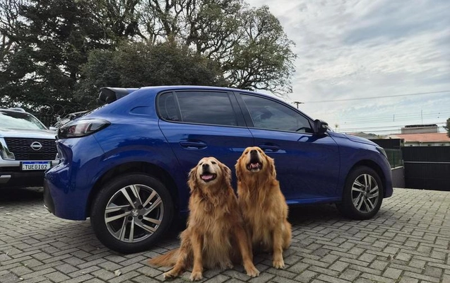 imagem-https://www.socarrao.com.br/sc-vehicle-images-prod/3238423/1786739305642-8382319_0_B_7eeafed496.jpeg
