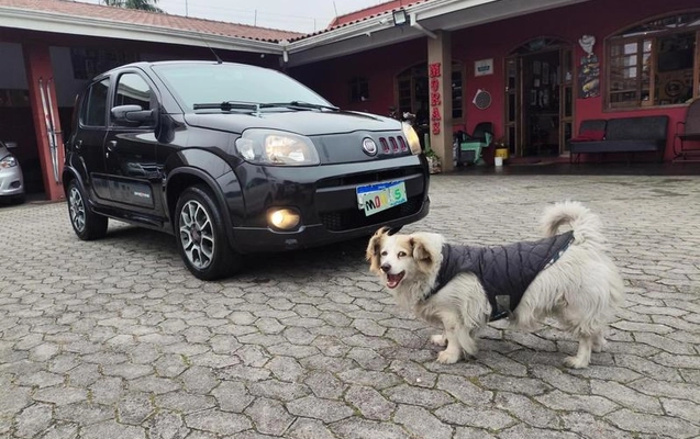 imagem-https://www.socarrao.com.br/sc-vehicle-images-prod/3440107/1787749437228-8413162_1_B_3fc7fe35a2.jpeg