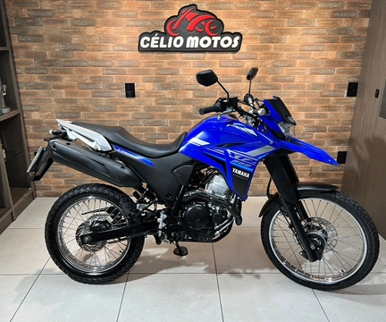 YAMAHA XTZ 250 LANDER 249cc/LANDER BLUEFLEX/ABS 2022 Azul — foto 1 de 3