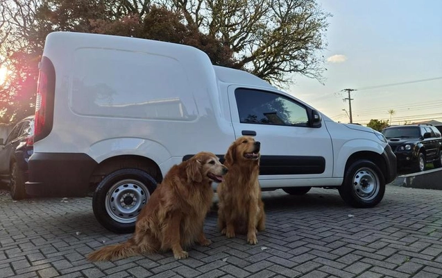 imagem-https://www.socarrao.com.br/sc-vehicle-images-prod/3477840/1788019630316-8423772_0_B_96f96b6826.jpeg
