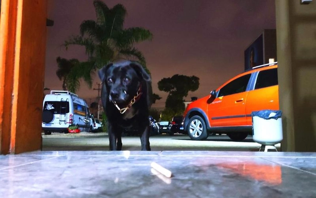 imagem-https://www.socarrao.com.br/sc-vehicle-images-prod/3498442/1789420341640-8422523_21_B_cde0192b50.jpeg