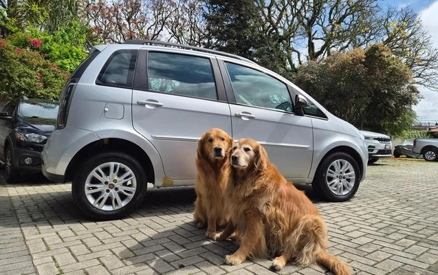imagem-https://www.socarrao.com.br/sc-vehicle-images-prod/3506663/1789135764287-8428025_3_B_fa1e76fe12.jpeg