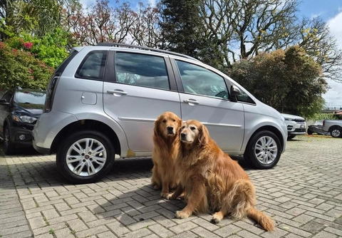 Fiat Idea 2014 Prata — foto 1 de 3