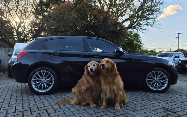 imagem-https://www.socarrao.com.br/sc-vehicle-images-prod/3576245/1788292702767-8439890_0_B_ace096e107.jpeg