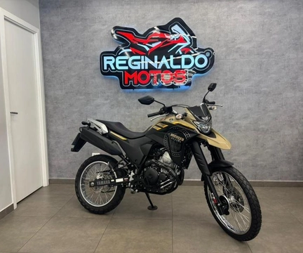 YAMAHA XTZ 250 LANDER 249cc/LANDER BLUEFLEX/ABS 2023 Bege — foto 1 de 3
