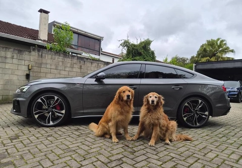 Audi A5 2025 Cinza — foto 1 de 3