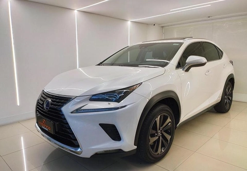 Lexus NX-300h 2020 Branco — foto 1 de 3