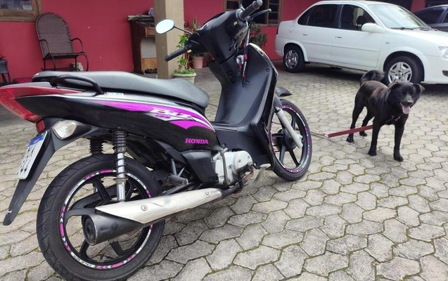 imagem-https://www.socarrao.com.br/sc-vehicle-images-prod/4219979/1791988338886-8528474_2_B_c48ad2a286.jpeg