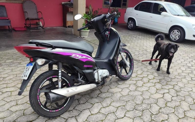 imagem-https://www.socarrao.com.br/sc-vehicle-images-prod/4219979/1791988338890-8528474_4_B_3389b97e83.jpeg