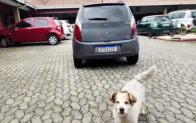 imagem-https://www.socarrao.com.br/sc-vehicle-images-prod/4250703/1791993866707-8532426_23_B_d558f50206.jpeg
