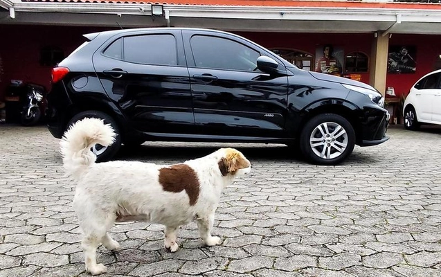 imagem-https://www.socarrao.com.br/sc-vehicle-images-prod/4263825/1791571825271-8538927_9_B_cfea216dd1.jpeg