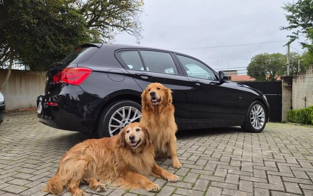 imagem-https://www.socarrao.com.br/sc-vehicle-images-prod/4282883/1791578945569-8545279_0_B_1c490592fc.jpeg