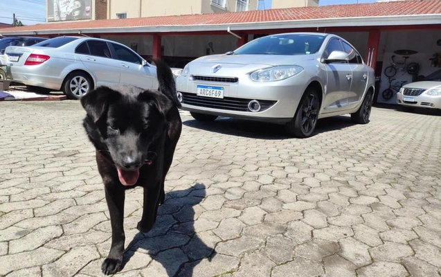 imagem-https://www.socarrao.com.br/sc-vehicle-images-prod/4284158/1791466995382-8545660_15_B_282aa58039.jpeg