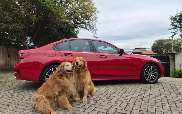 imagem-https://www.socarrao.com.br/sc-vehicle-images-prod/4323356/1791580847208-8561321_0_B_26d3995342.jpeg