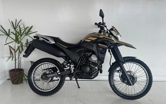 imagem-https://www.socarrao.com.br/sc-vehicle-images-prod/4364354/1792594656135-8565761_0_B_7c01e783d8.jpeg