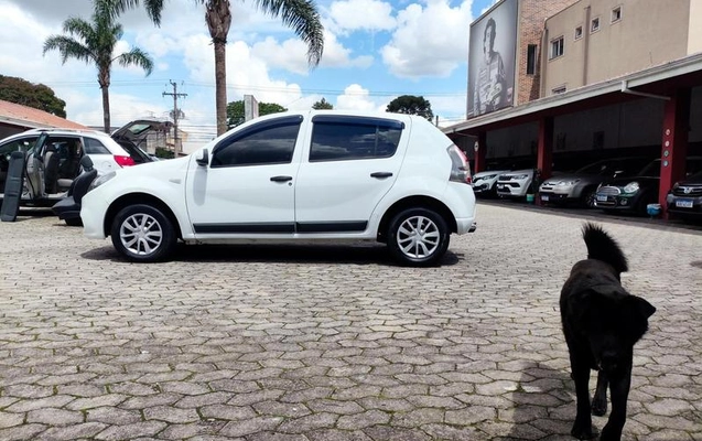 imagem-https://www.socarrao.com.br/sc-vehicle-images-prod/4372538/1792169216778-8575604_8_B_5cb27a8cda.jpeg