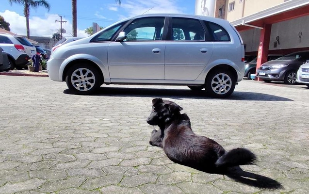 imagem-https://www.socarrao.com.br/sc-vehicle-images-prod/4380307/1792240132673-8579359_4_B_314aaf5da3.jpeg