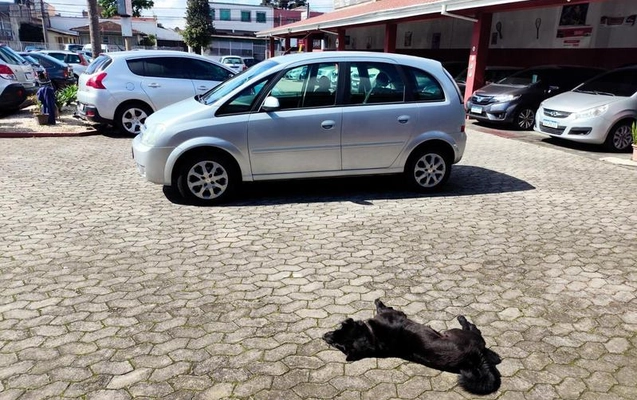 imagem-https://www.socarrao.com.br/sc-vehicle-images-prod/4380307/1792240132688-8579359_2_B_3cfc4226fe.jpeg