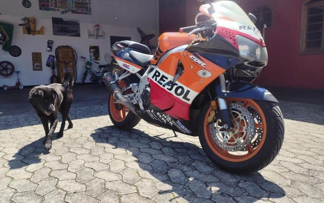 imagem-https://www.socarrao.com.br/sc-vehicle-images-prod/4393891/1792437448640-8584342_16_B_f6710f7a11.jpeg