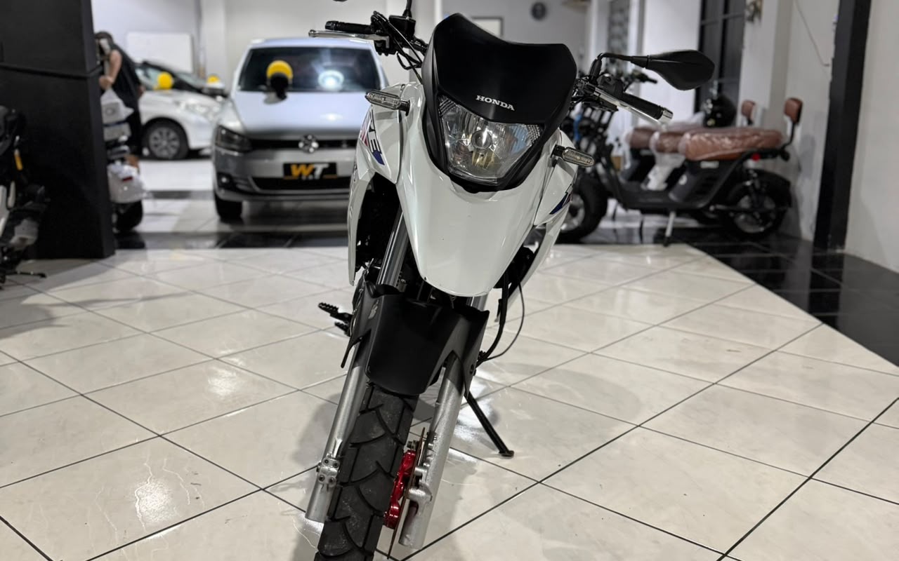 Honda XRE 300 RALLY FLEX 2017 Branco — foto 1 de 3