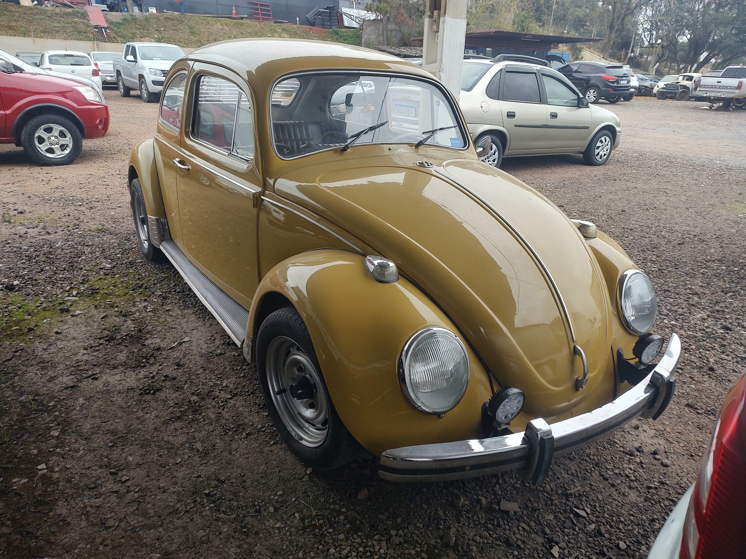 Volkswagen Fusca 1500 na cor Amarelo em Campo Largo / PR - 52038