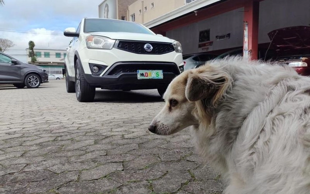 imagem-https://www.socarrao.com.br/sc-vehicle-images-prod/55802/1790197625685-7293400_10_B_b78f001446.jpeg