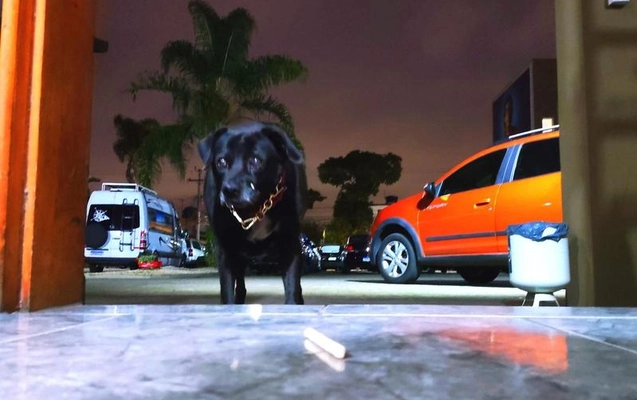 imagem-https://www.socarrao.com.br/sc-vehicle-images-prod/55807/1775915659938-7371682_20_B_ee0b27eb97.jpeg