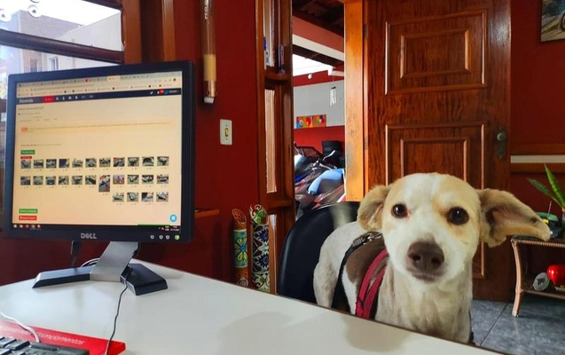 imagem-https://www.socarrao.com.br/sc-vehicle-images-prod/55820/1787689560783-7556661_24_B_7309bb1e61.jpeg