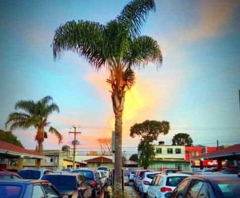 imagem-https://www.socarrao.com.br/sc-vehicle-images-prod/55823/1787322772284-7559106_18_B_ce1f00122a.jpeg