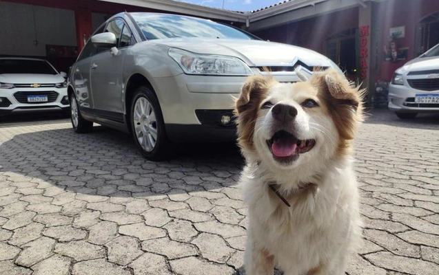 imagem-https://www.socarrao.com.br/sc-vehicle-images-prod/55838/1776363784378-7693668_8_B_973f1d99ad.jpeg