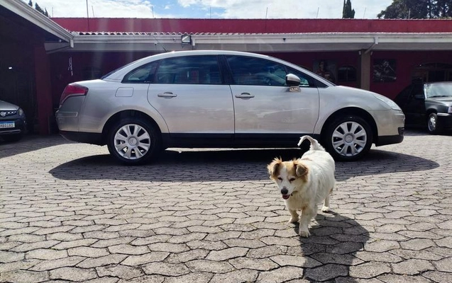imagem-https://www.socarrao.com.br/sc-vehicle-images-prod/55838/1776363784385-7693668_19_B_3e6ebf0872.jpeg