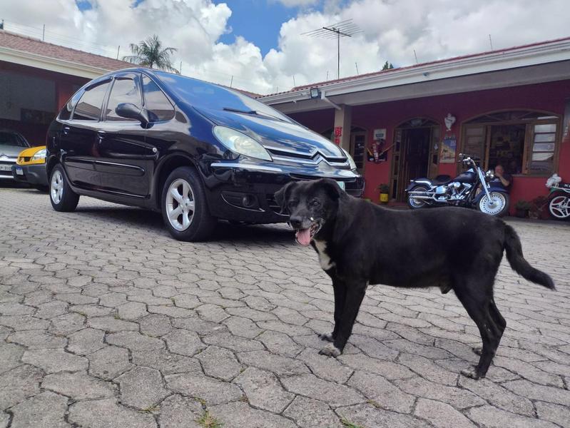 Citroën Xsara Picasso Exc./Etoile 2.0 16V Mec. na cor Preto em Curitiba / PR - 55842