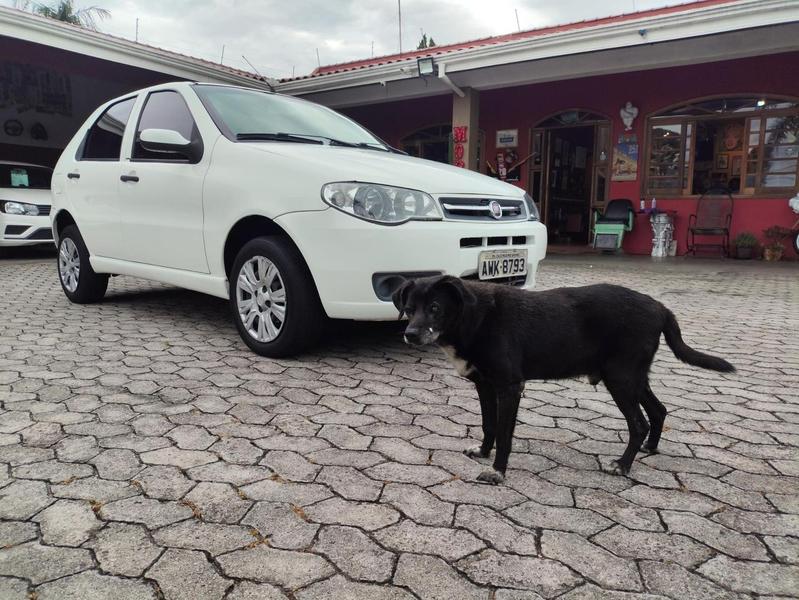 Fiat Palio 2013 Branco — foto 1 de 3